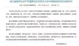 武汉医学院爆料事件最新,真相与争议交织的医学伦理漩涡