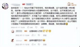 外网小舅子爆料原神视频,小舅子爆料背后的秘密与期待