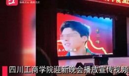 陈氏果业爆料事件视频,揭露行业黑幕背后的真相