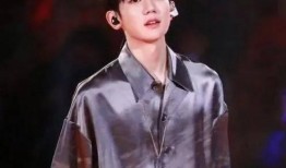 圈内大爆料王源,圈内大爆料背后的真实故事