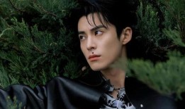 内娱大瓜爆料王鹤棣视频,内娱大瓜背后的真相揭秘