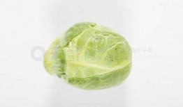 吃瓜娱乐图片下载安装,揭秘吃瓜娱乐图片下载安装全攻略