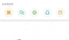 张小寒爆料王鸥视频播放,真相与争议