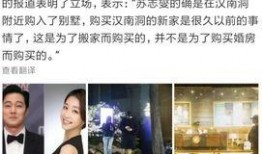 韩媒爆料结婚视频,明星夫妻甜蜜婚礼现场视频首度公开
