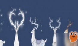 逆水寒最新坐骑爆料,华丽造型，实力升级，驾驭江湖新风尚