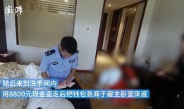 爆料保姆真实身份视频大全,视频大全背后的惊人真相