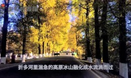 娱乐吃瓜君集美,揭秘娱乐圈那些不为人知的幕后故事