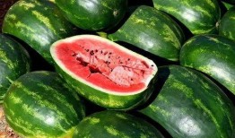 网红徒弟吃瓜图片,揭秘娱乐圈幕后真相