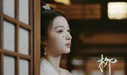 官方王楚然爆料视频大全,揭秘幕后故事与精彩瞬间