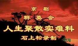 群英会在线观看,群英会在线观看全攻略